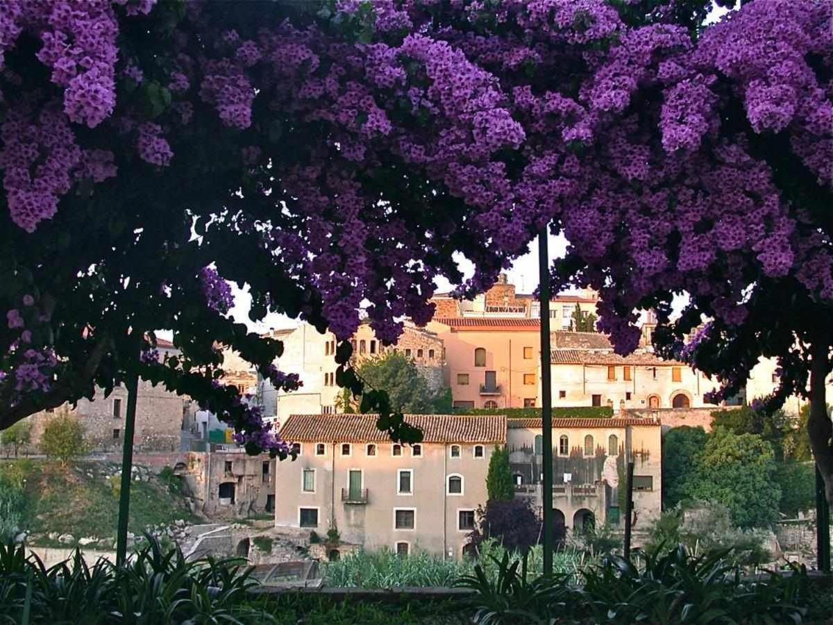 Hotel Rural Hd Riudebitlles Art I Allotjament Sant Pere de Riudebitlles ภายนอก รูปภาพ